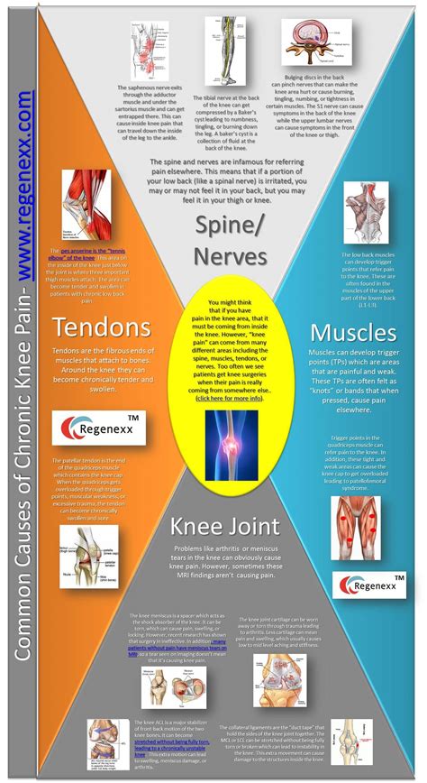 Common Causes Of Chronic Knee Pain Infographic