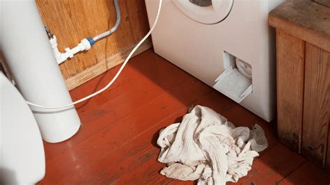 5 Tips To Stop Washing Machine Leaks United Water Restoration Group