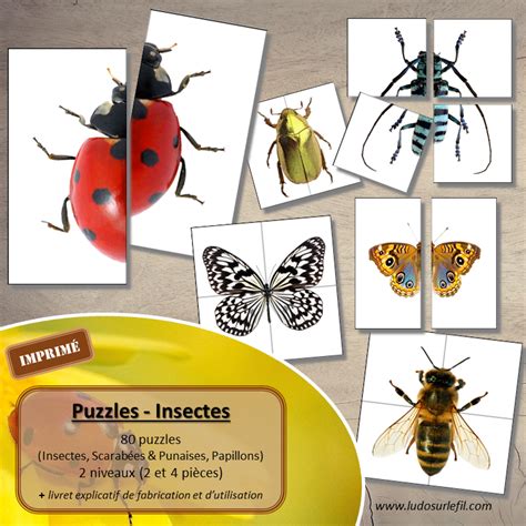 Puzzles Insectes Ludo Sur Le Fil