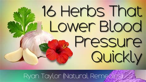 Herbs That Lower Blood Pressure Naturally And Quickly Youtube