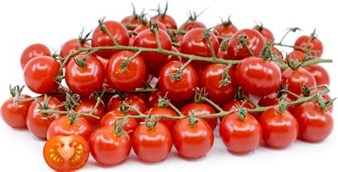 On The Vine Cherry Tomatoes Information Recipes And Facts