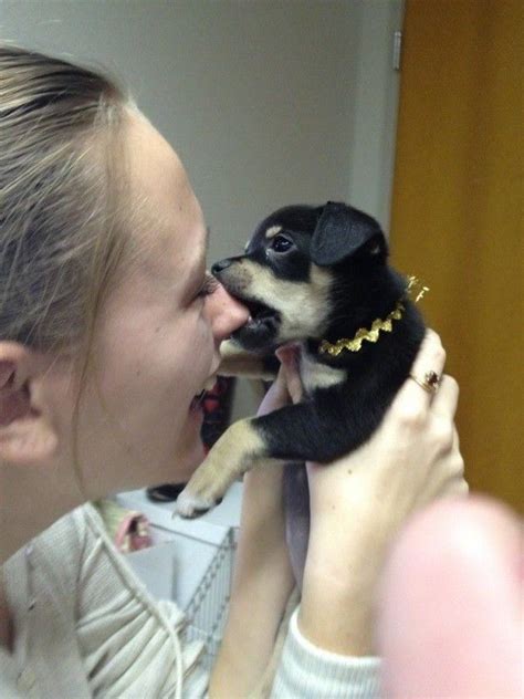 Feel The Love From These Precious Puppy Kisses