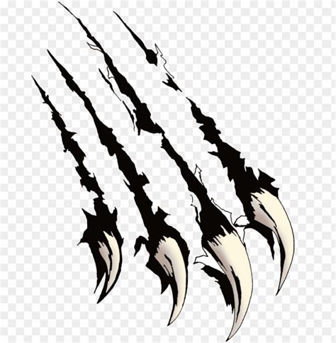 Black Panther Claw Marks Png Image With Transparent Background Toppng