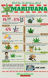 Interesting Facts About Medical Marijuana Pictures