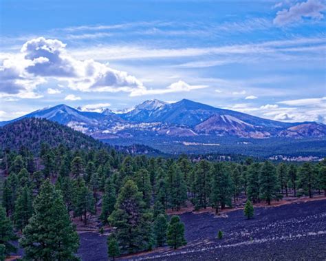 6300 Flagstaff Arizona Stock Photos Pictures And Royalty Free Images