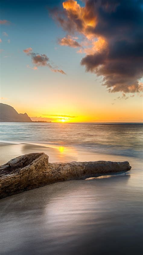 2160x3840 Driftwood On Beach At Sunset On North Shore Of Kauai 8k Sony