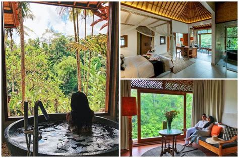 26 rainforest hotels in bali where you can bask in lush views and stay among nature