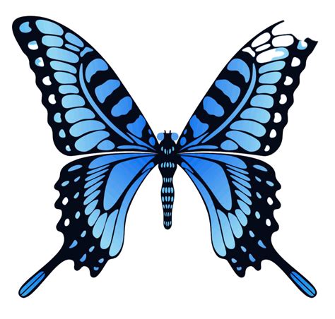 Blue Animated Butterfly Png Image Background Png Arts