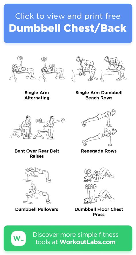 Dumbbell Chestback · Free Workout By Workoutlabs Fit