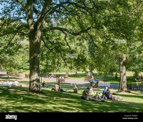 People Relaxing Under The Tree Hi Res Stock Photography And Images Alamy