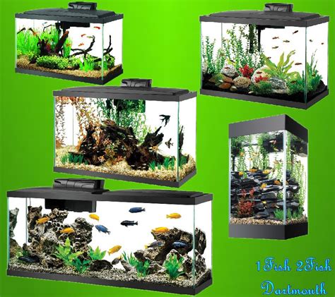 Aqueon Led Aquarium Kits 1 Fish 2 Fish Dartmouth