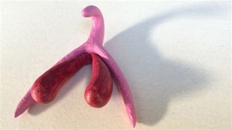 This 3d Printed Clitoris Model Is Set To Transform Sex Ed