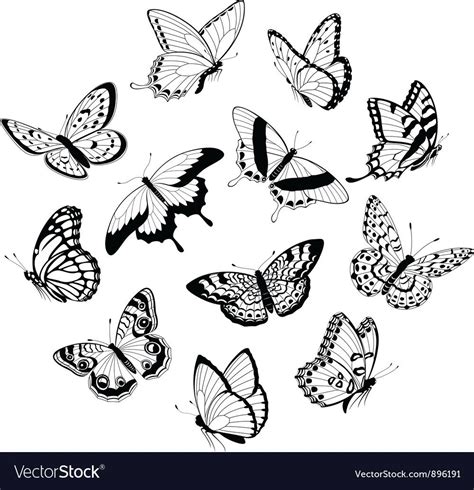 Set Of Flying Black And White Butterflies Isolated On White Background