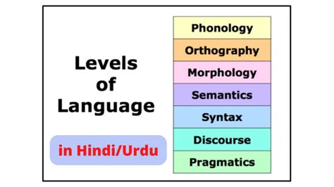 Levels Of Linguistics Semantics Morphology Phonology Pragmatics