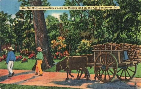 Postcard An Ox Cart As Seen In Mexico And Ole Southwest Ebay