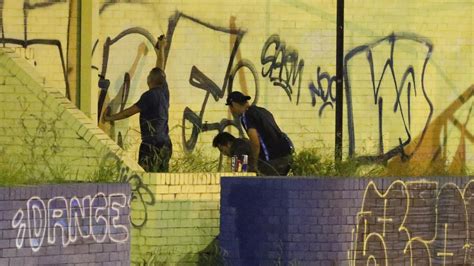 sydney graffiti gang caught red handed by police daily telegraph