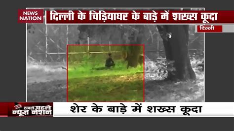 Man Jumps Into Lion Enclosure In Delhi Zoo Watch What Happened Next