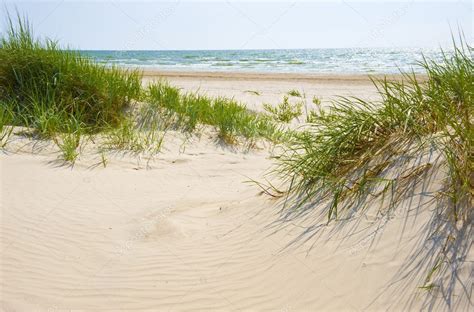 Sandy Dunes On A Beach Of Jurmala — Stock Photo © Vlakoh 6088125
