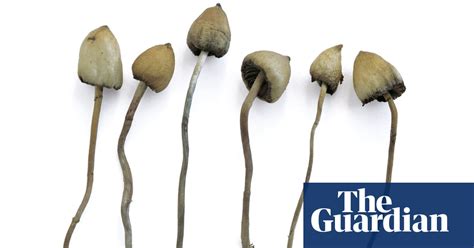 Is It Safe To Take Magic Mushrooms Life And Style The Guardian
