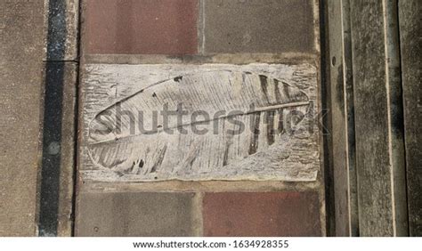 Picture Banana Leaf On Cement Ground Stock Photo 1634928355 Shutterstock