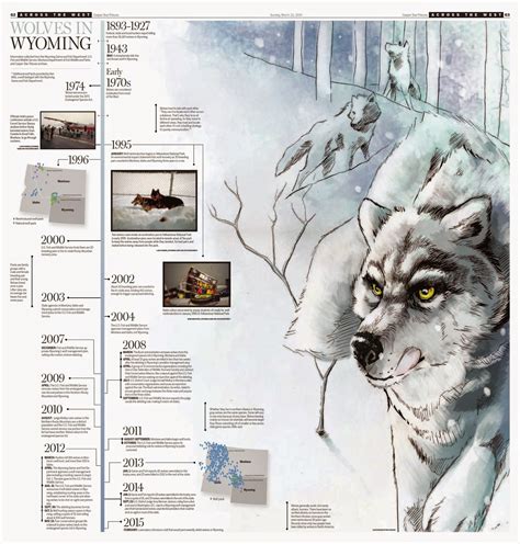 Canis Lupus 101 Infographic A History Of Wolves In Wyoming