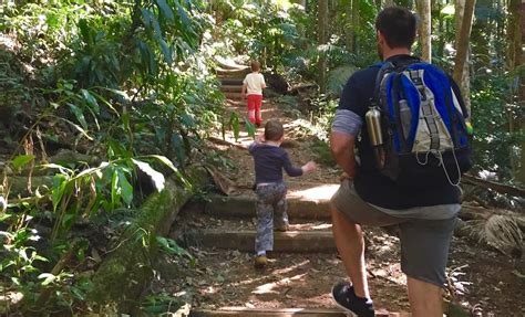 Looking for exclusive deals on mount warning hotels? Climbing Mount Warning with kids - how far can you go ...