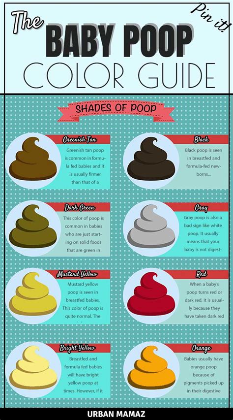 Baby Poop Colors Chart And Pictures Whats Normal Love Our Littles Pin