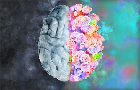 brain anatomy watercolor brain flowers brain brain with flowers brain art flower art kulturaupice