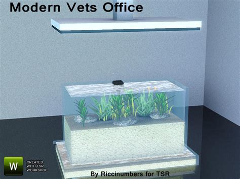 Thenumberswomans Modern Petsn Fish Tank