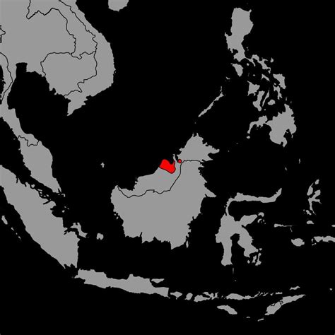 Pin Karte Mit Brunei Flagge Auf Der Weltkarte Vektor Illustration