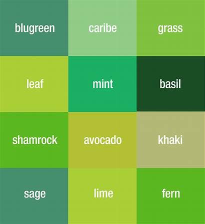 Names Different Colors Zencolor Paper Universal
