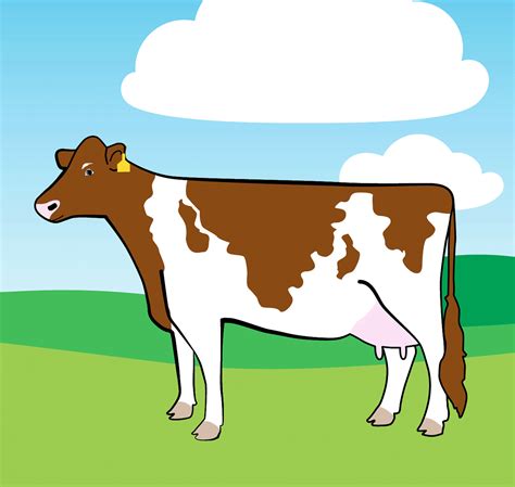 Learn About The 6 Different Types Of Dairy Cow Breeds Types Of Dairy
