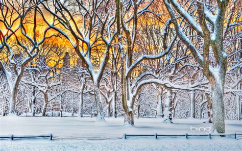 Sunrise In Central Park After A Snowstorm In New York City