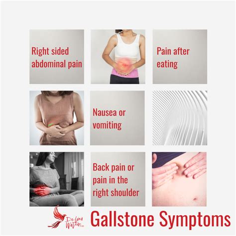 Hormones And Your Gallbladder Dr Lisa Watson