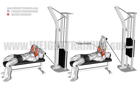 Lying Cable Skull Crusher Instructions And Video Weight Training Guide