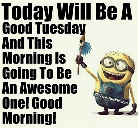 Tuesday Funny Quotes Images Shortquotescc