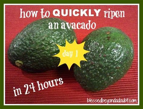 How To Ripen An Avocado In 24 Hours Blessed Beyond A Doubt How To