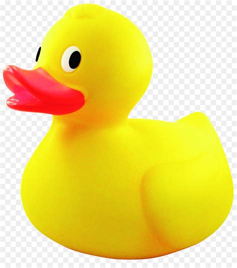Rubber Duck Clip Art Duck Png Download 15901772
