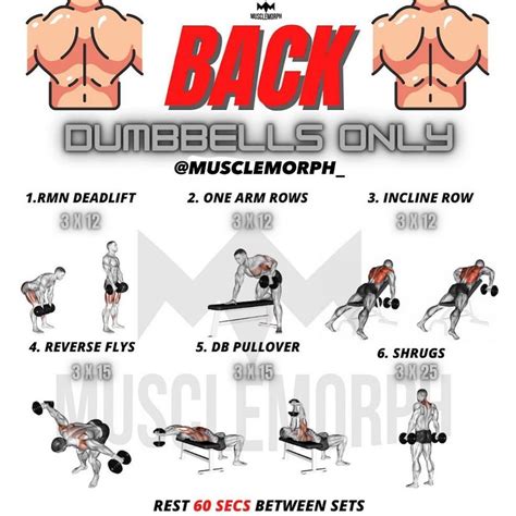 Musclemorph® Supps Workouts Shared A Post On Instagram “🔥back Workout Dumbbells Only🔥by Mu
