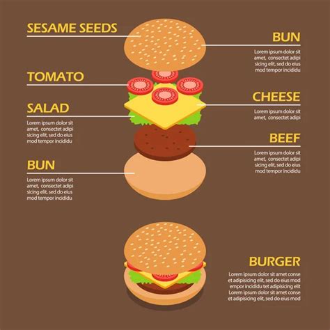 Hamburger Ingredients Infographic — Stock Vector © Macrovector 48586991