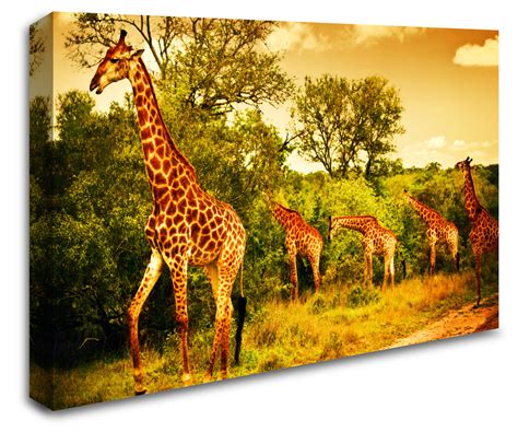 Africa Safari Giraffe Wall Art Canvas 8998 1110 Stickers Wall