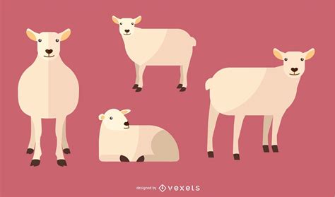 Flat Sheep Illustration Set Vector Download