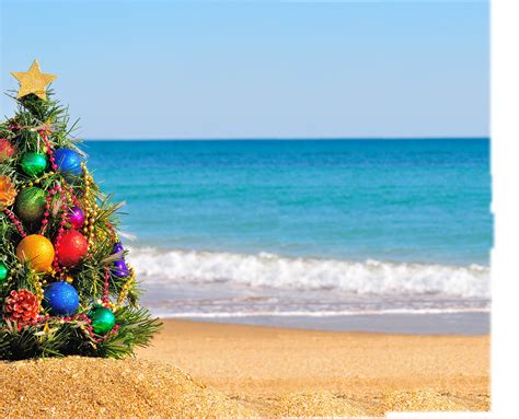 Christmas Tree On Beach 120790171 Shorebread Eastern Shore Lifestyle