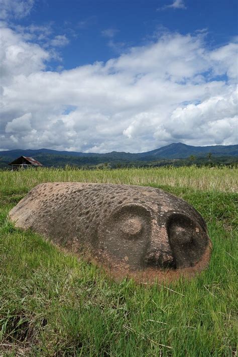 A Large Rock With A Face Carved Into It In The Middle Of A Grassy Field