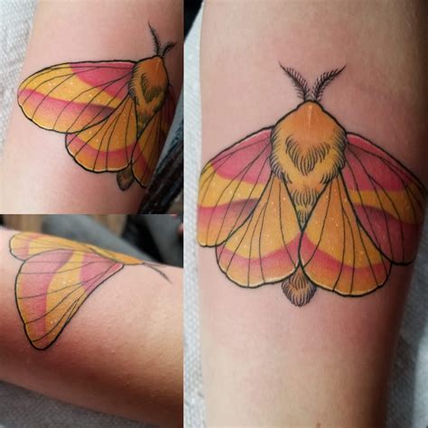 Update Rosy Maple Moth Tattoo Super Hot In Cdgdbentre
