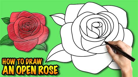 How To Draw An Open Rose Easy Step By Step Drawing Tuturial Youtube