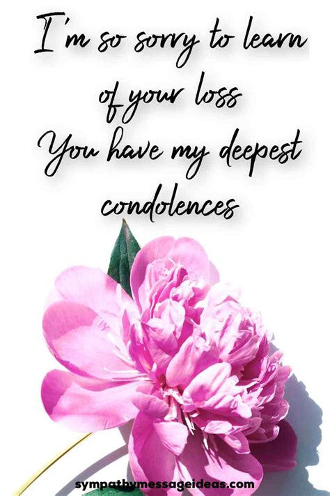 35 Heartfelt Sorry For Your Loss Quotes With Images Sympathy Message Ideas