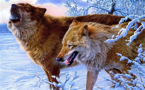 Wolves Howling Wallpaper 68 Images