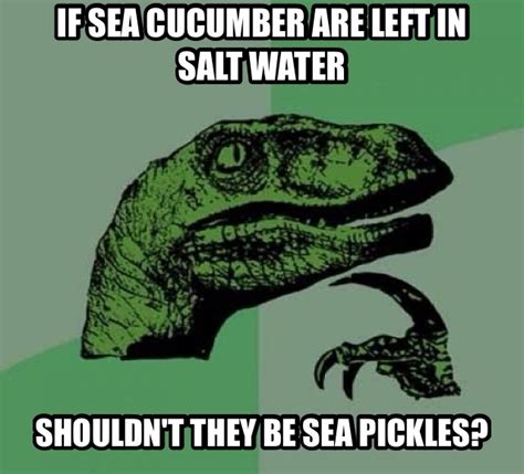 sea cucumbers memes