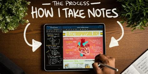 How I Take Notes With My Ipad Pro In Lectures Notability And Goodnotes